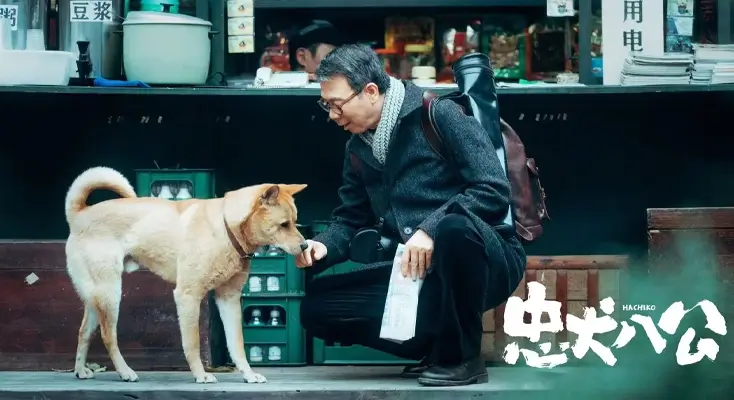 如何在海外看国内视频